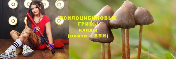 марки lsd Мегион