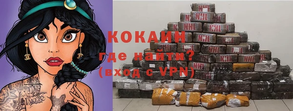 прущие крисы Бородино
