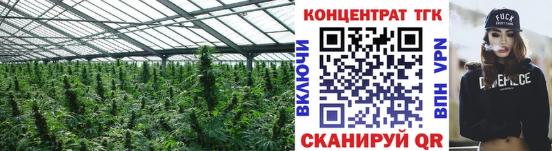kraken онион  Буй  ТГК гашишное масло 