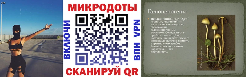 Псилоцибиновые грибы мухоморы  Буй 